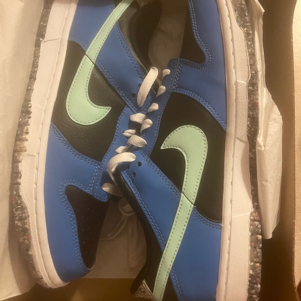 Dunks new size 6.5